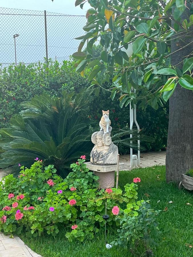 Bed & Breakfast Romantico Wellness Casa Veronica Elche